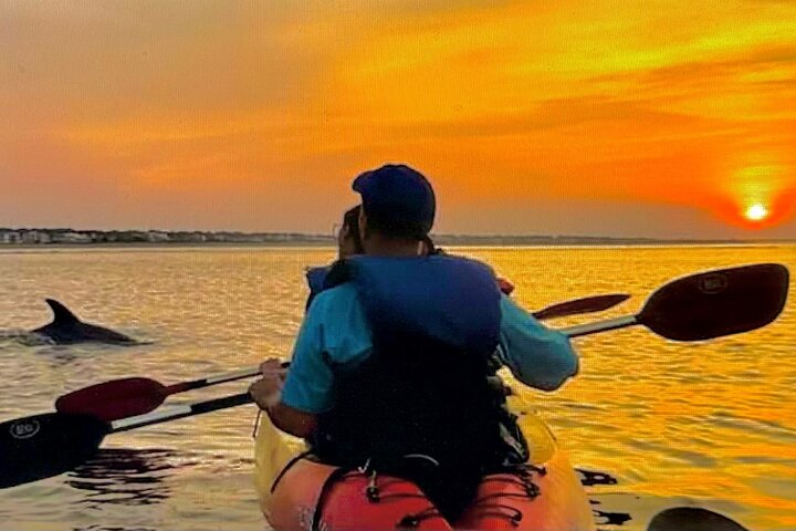 Sunset dolphin and bioluminescent comb jelly tour SoBe Surf and Paddle Orlando Cocoa Beach area